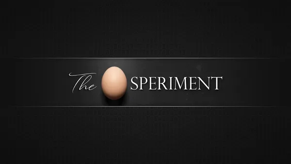 The Eggsperiment Is Creating Creative Videos With Eggs Buymeacoffee