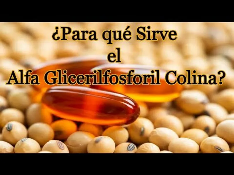 Para qué Sirve la Alfa Glicerilfosforil Colina Alfa GPC Sharing