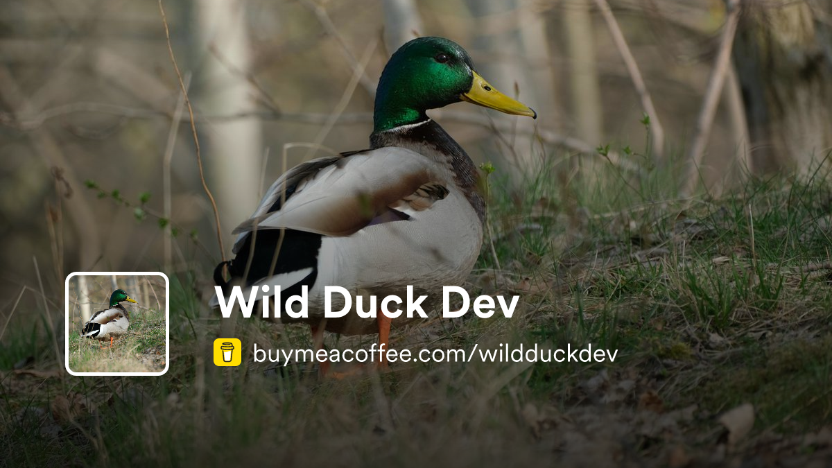 Wild Duck Dev - Buymeacoffee