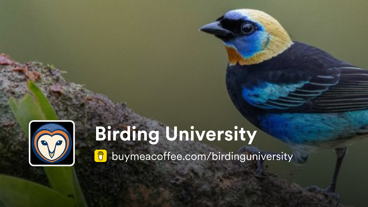 Birding University - Buymeacoffee