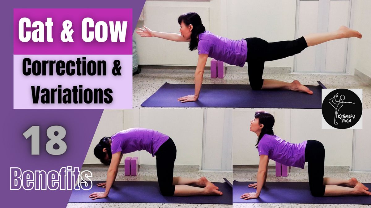 Cowbell Variations Cat & Cow Pose Variations, Correction & Benefits — Katimera Yoga ...