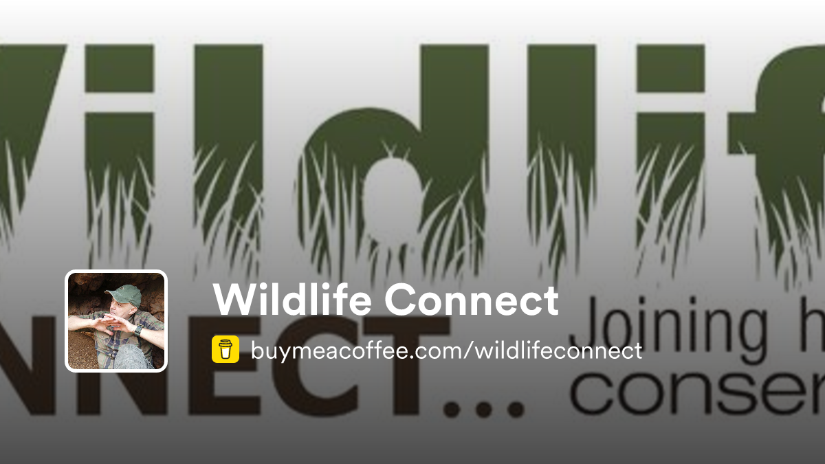 Wildlife Connect is making YouTube videos thanks to patrons who love ...