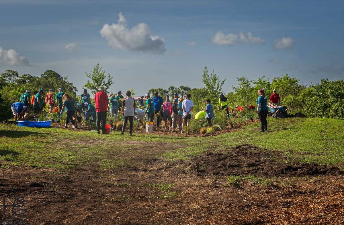 Microforest Planting Day — Holly Elmore - Buymeacoffee
