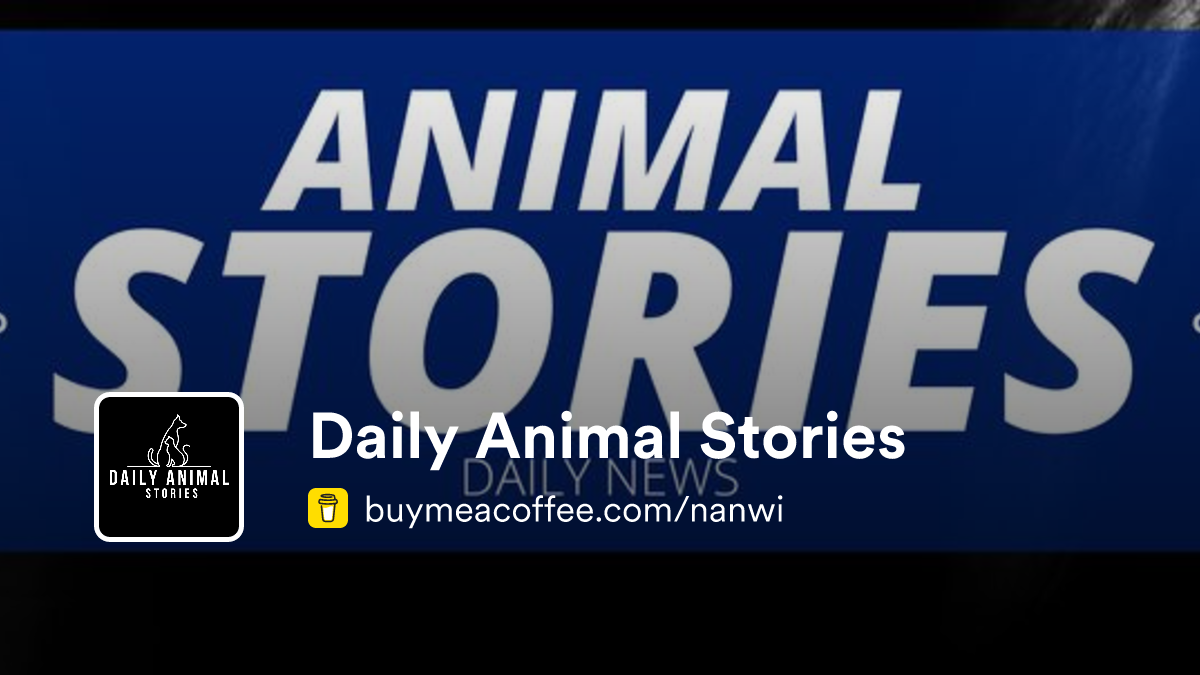 Daily Animal Stories is Creating inspiring wildlife content and ...