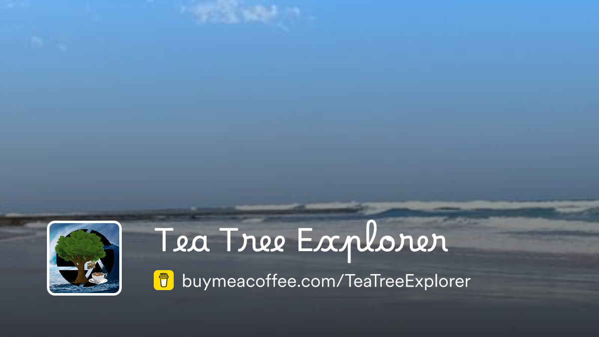 Mea Tree Tea Tree Explorer is creating relaxing solo walking tours across ...