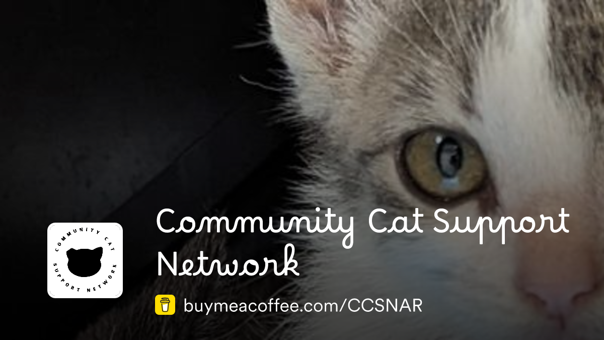 Community Cat Support Network is creating a better world for community ...
