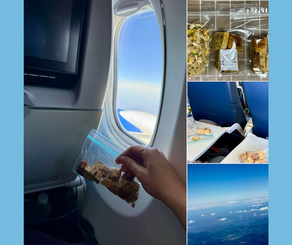 Flying With Freeze Dried Food (TSA & Airline Tips For Travel