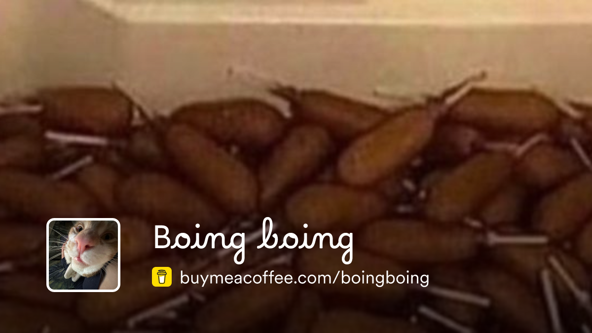 Boing boing is Photos and videos for my supporters - Buymeacoffee