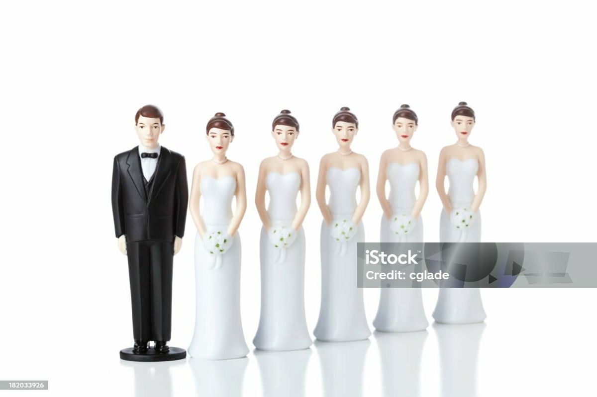 Exploring the Similarities and Differences Between Polyandry and ...