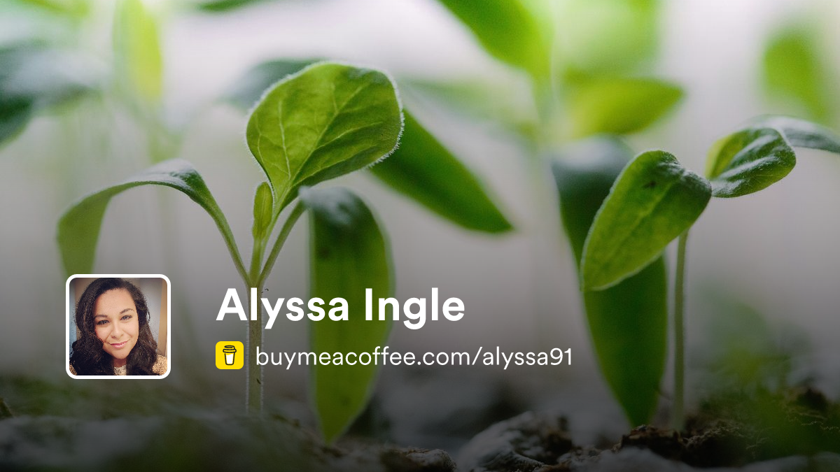 Alyssa Ingle is A blog on having a successful playgroup village ...