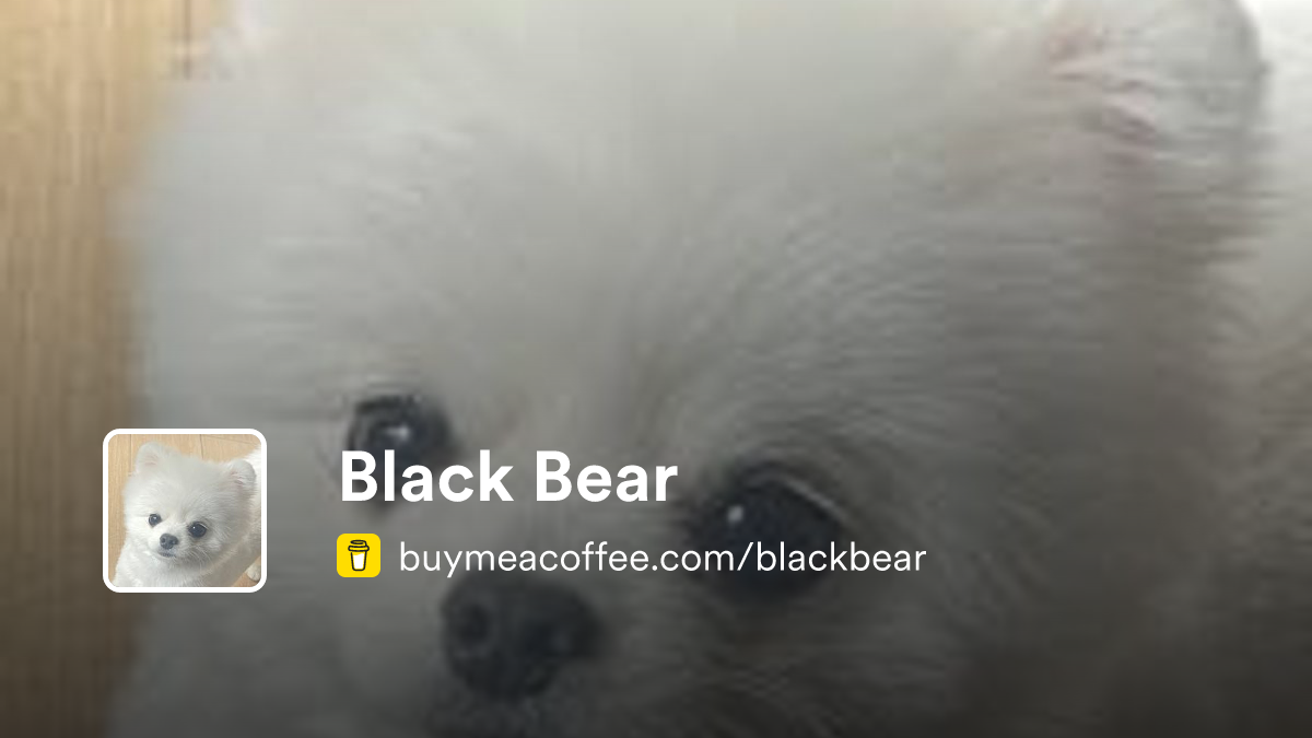 Black Bear - Buymeacoffee