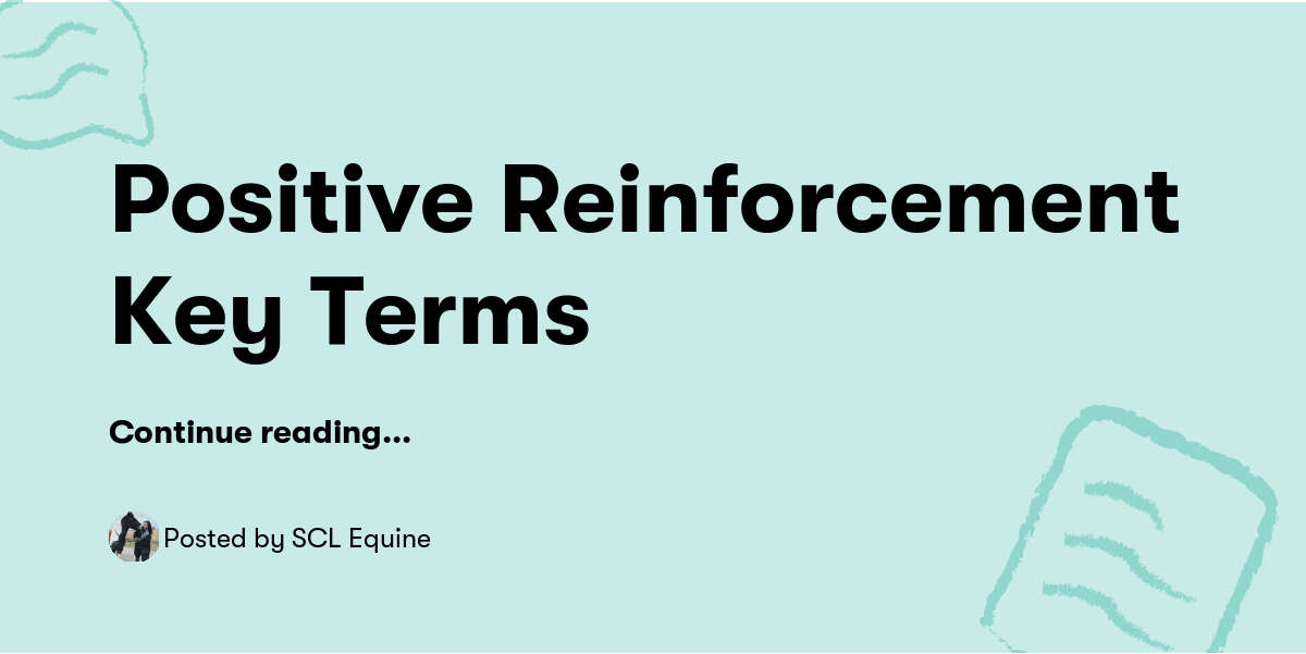 Positive Reinforcement Key Terms — SCL Equine - Buymeacoffee