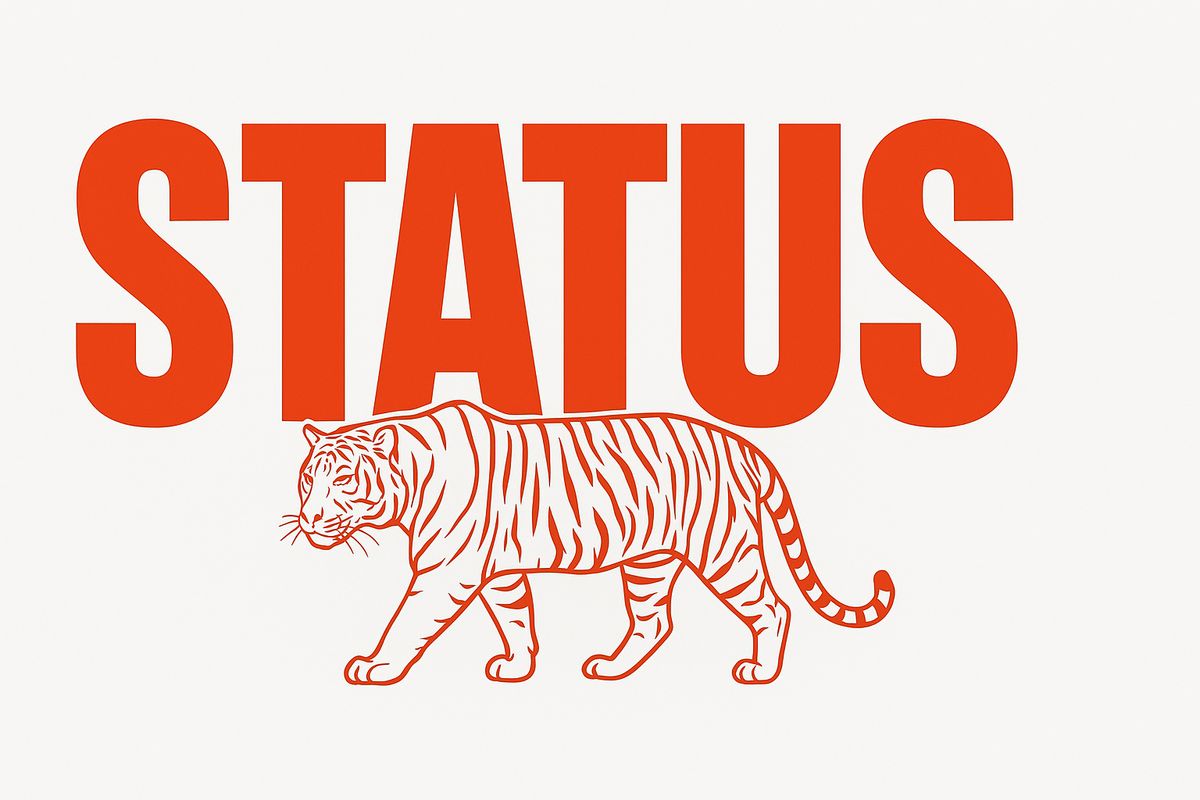 The truth about building something from scratch brands by status