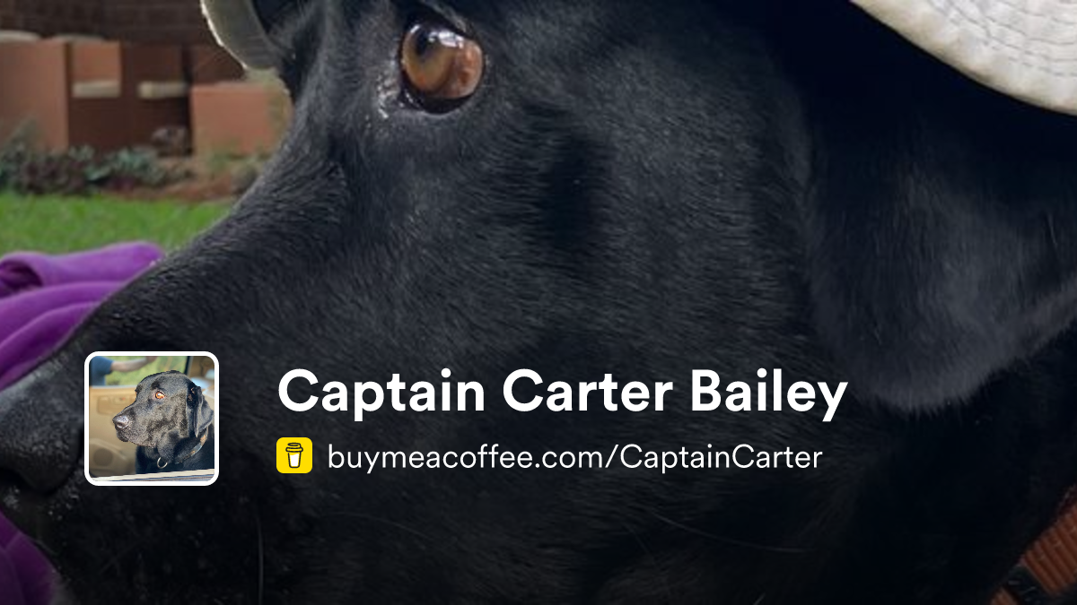 Captain Carter Bailey is My humours journal entries about my Human's ...