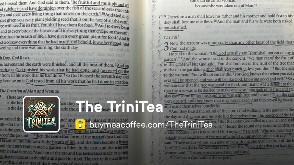 Trinitia The TriniTea is Curious Conversations for the Biblically Confused ...