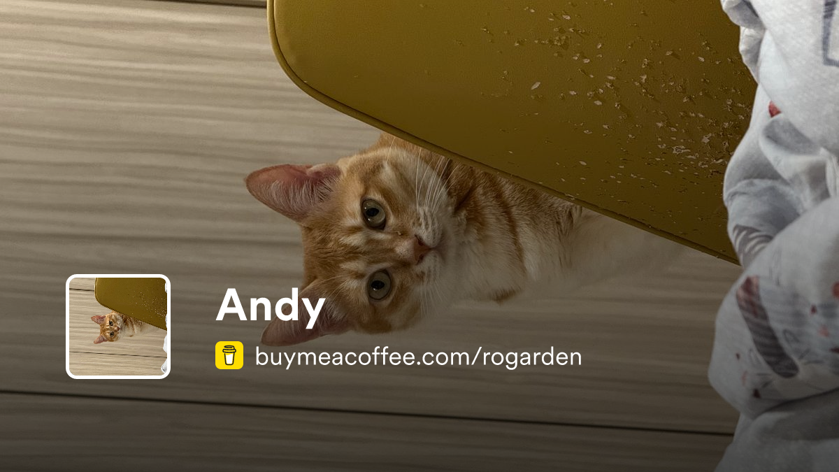 Andy - Buymeacoffee