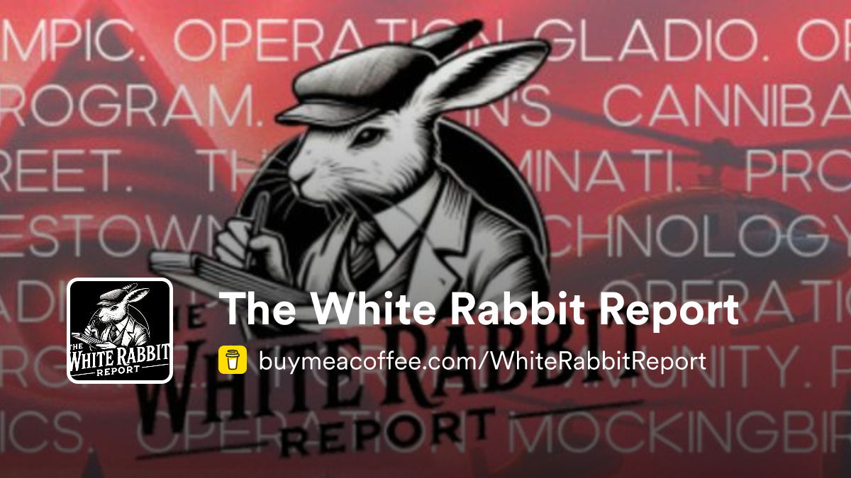 White Rabbit Alert The White Rabbit Report - Buymeacoffee