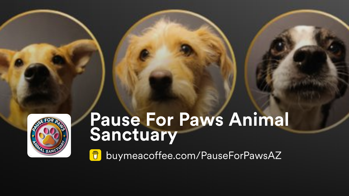 Pause For Paws Animal Sanctuary is Rescuing at-risk dogs from the ...