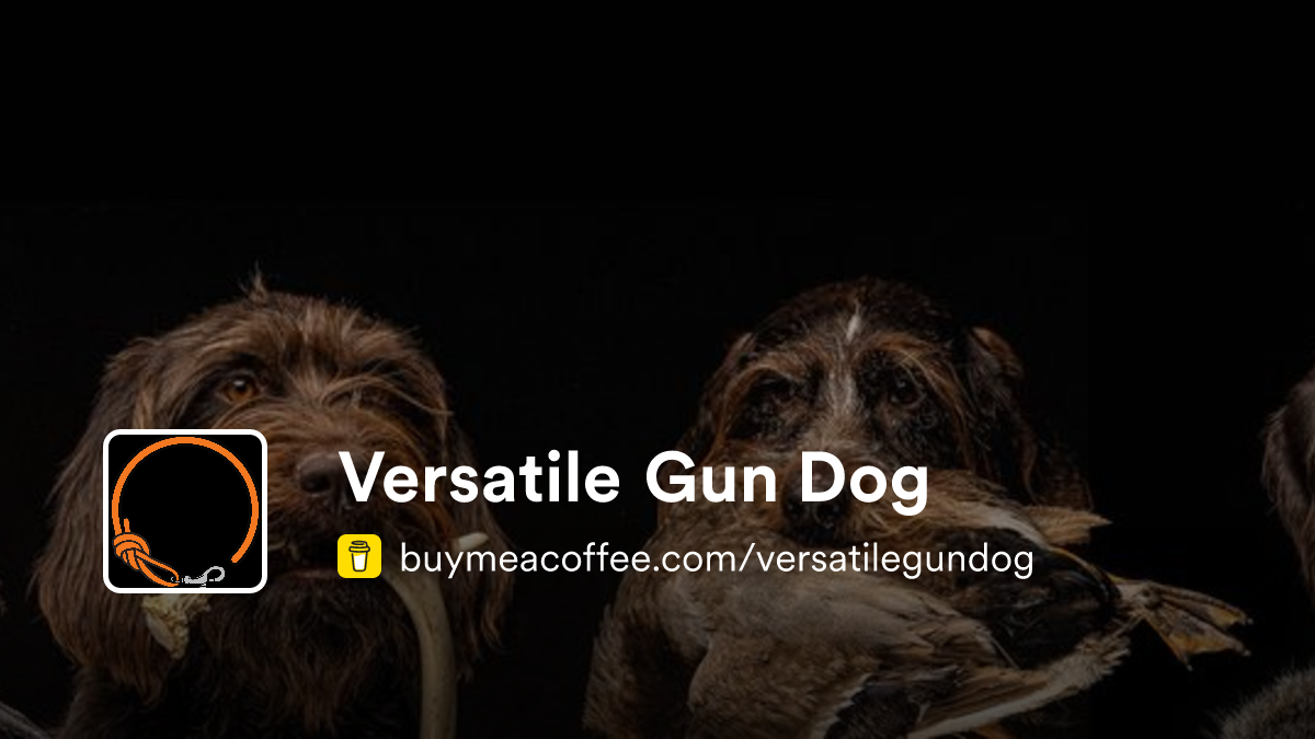 Versatile Gun Dog - Buymeacoffee