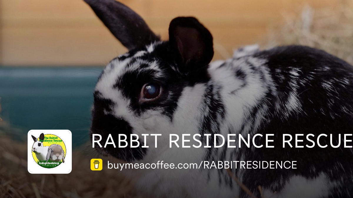 RABBIT RESIDENCE RESCUE - Buymeacoffee