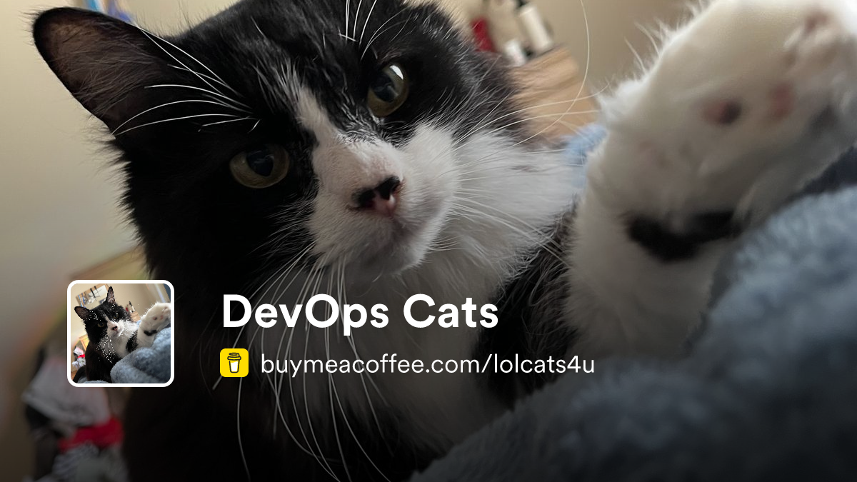 DevOps Cats - Buymeacoffee