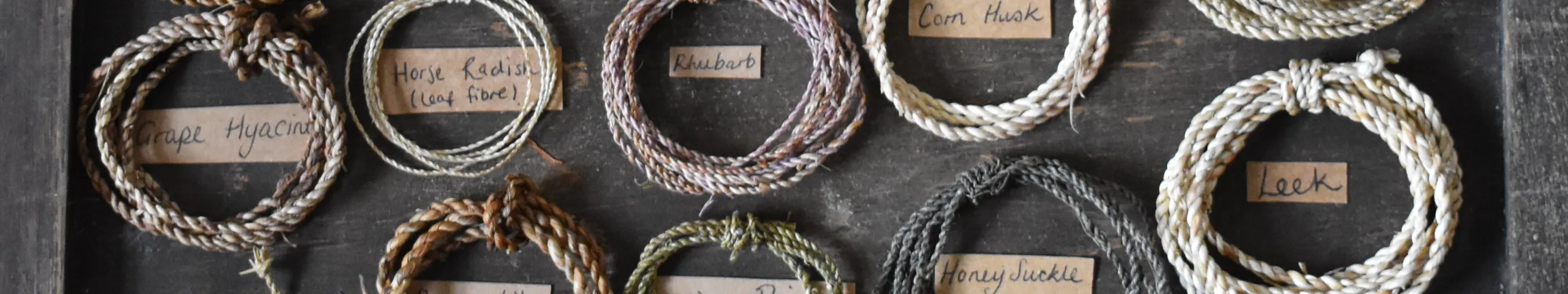 Making Cordage — foragedfibres - Buymeacoffee