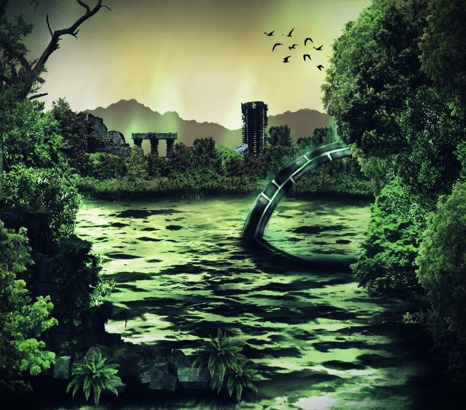 image de couverture