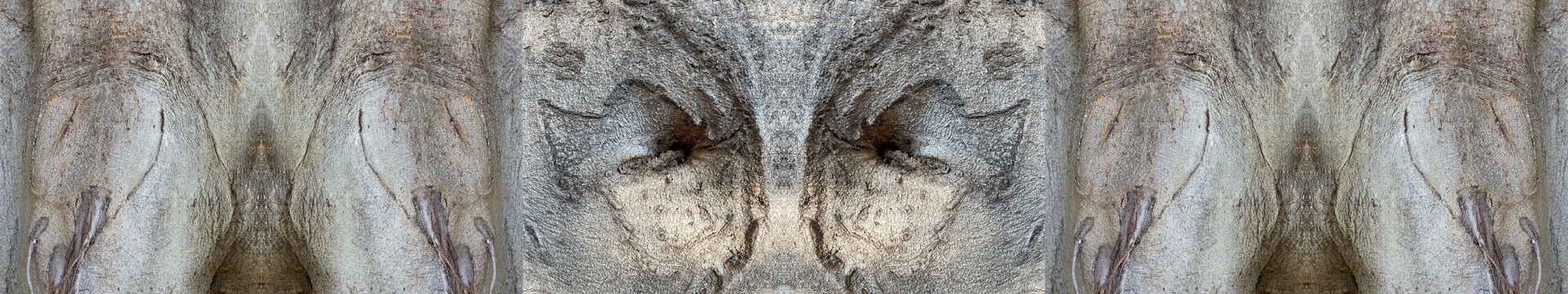 image de couverture