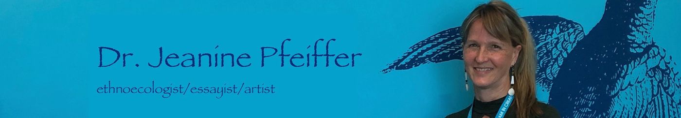 image de couverture