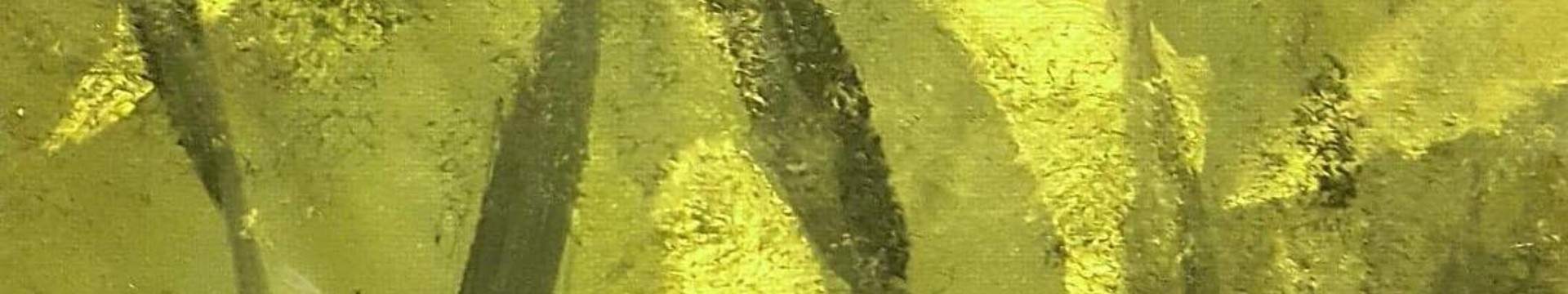image de couverture