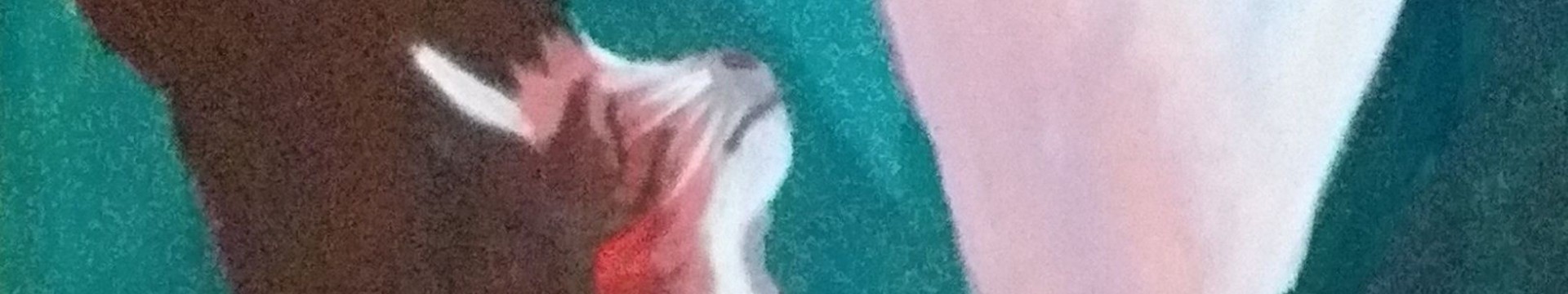Titelbild