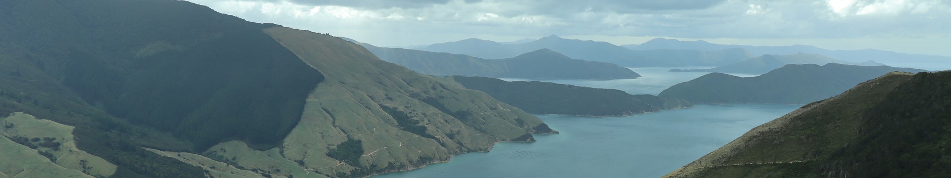 imagen de portada