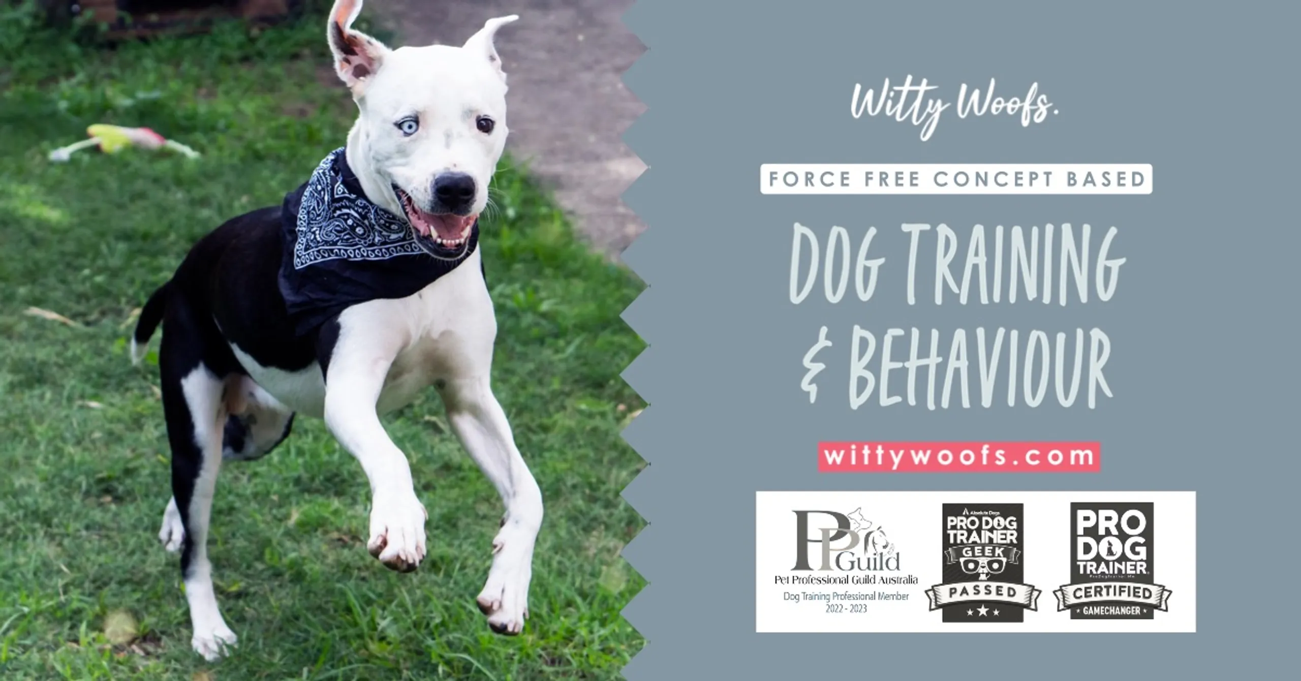 Exquisite Woofs Dog Training Moment for Mobile Exquisite Woofs Dog Training Moment for Mobile