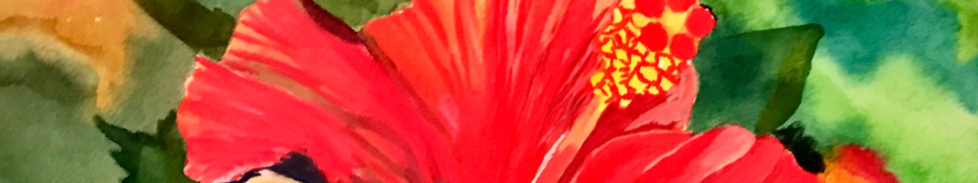image de couverture