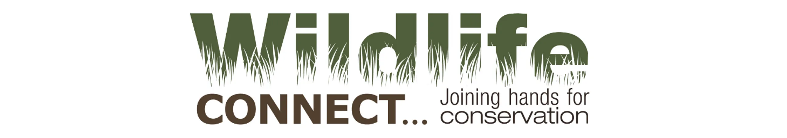 Wildlife Connect is making YouTube videos thanks to patrons who love ...