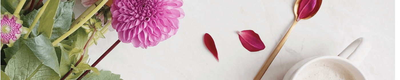 image de couverture
