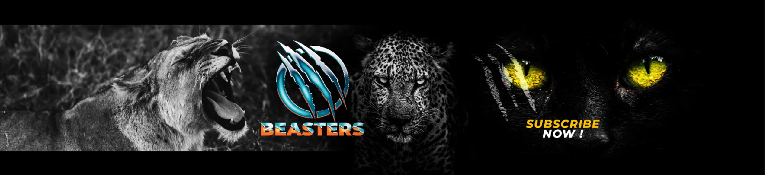 BEASTERS - Buymeacoffee