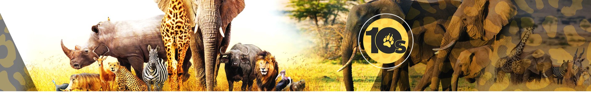 image de couverture