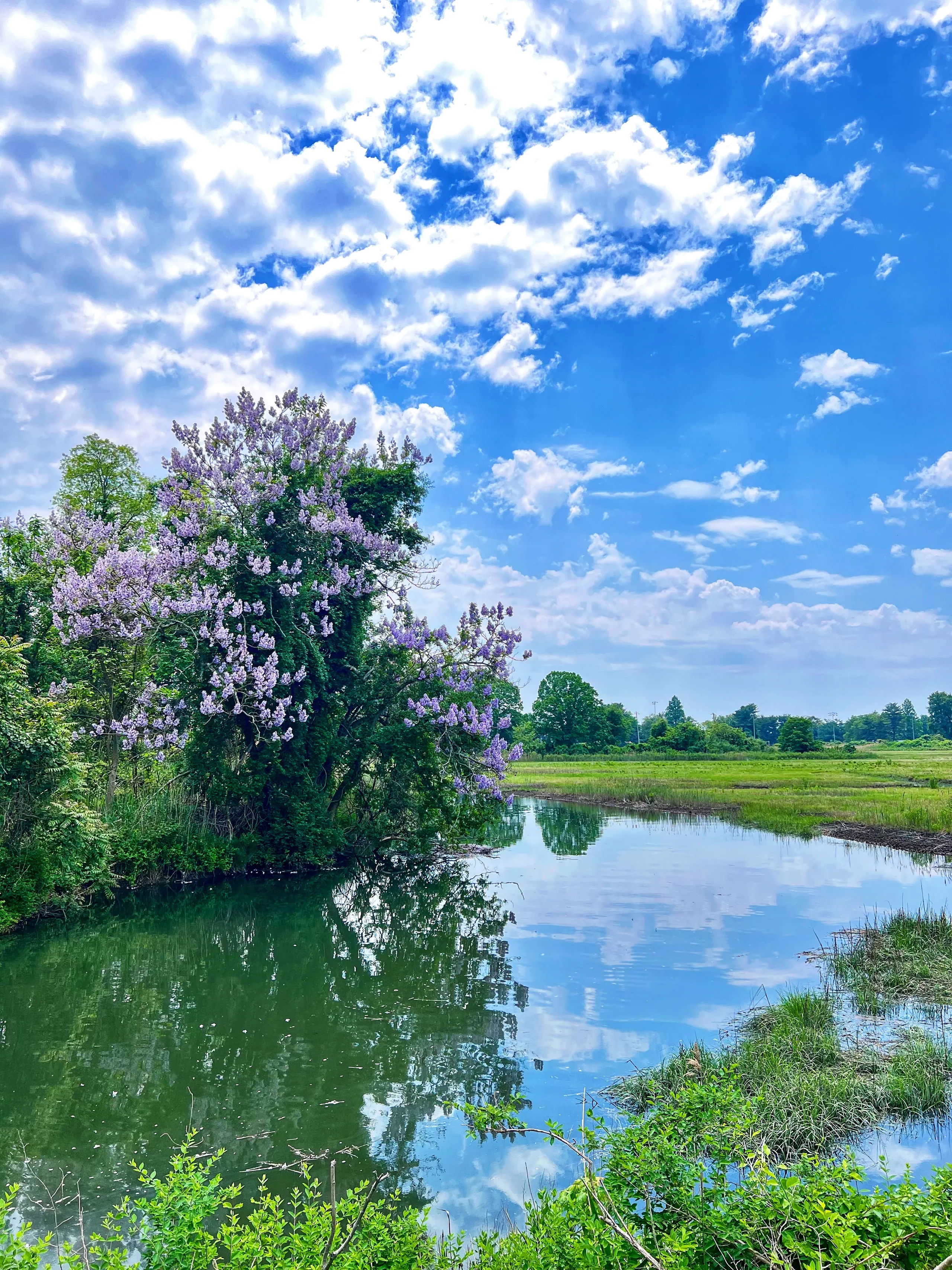 Callie Bundy is Happiness, image size:2560x3413