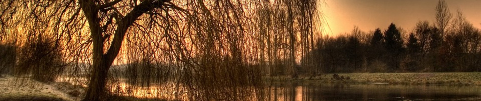 image de couverture