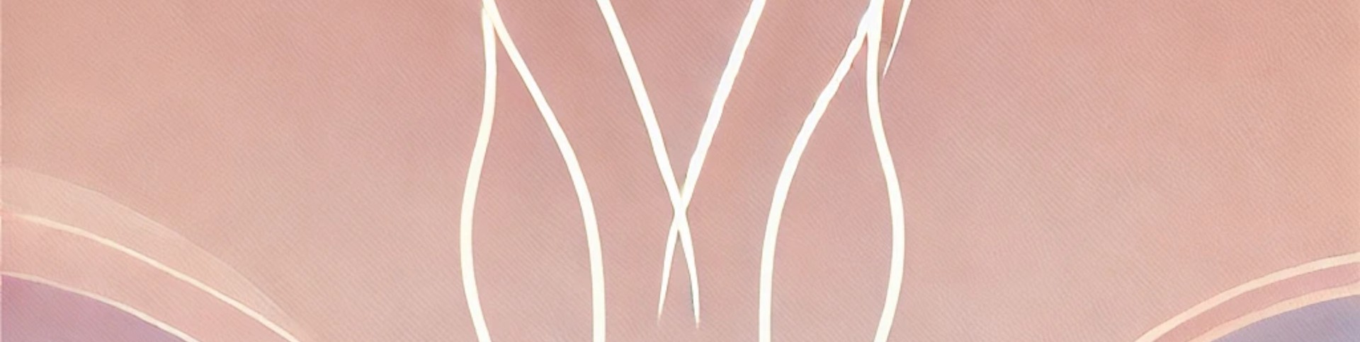 image de couverture