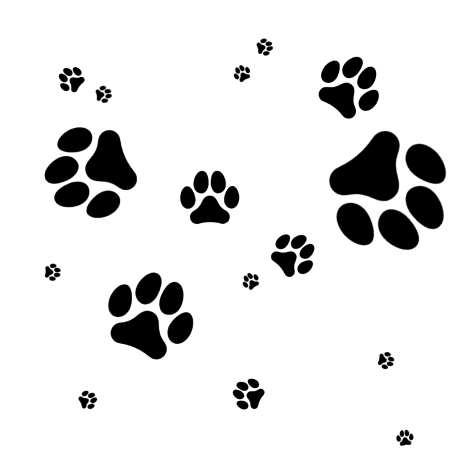 image de couverture