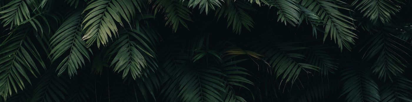 image de couverture