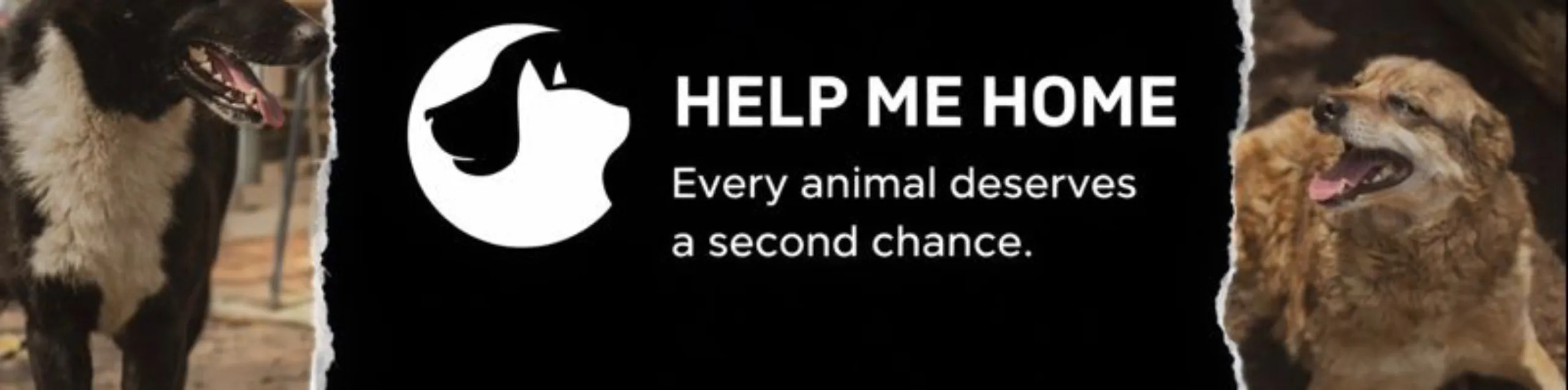 "Help Me Home" animal rescue is Support page for "Help Me Home" animal ...