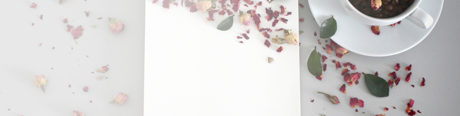 image de couverture