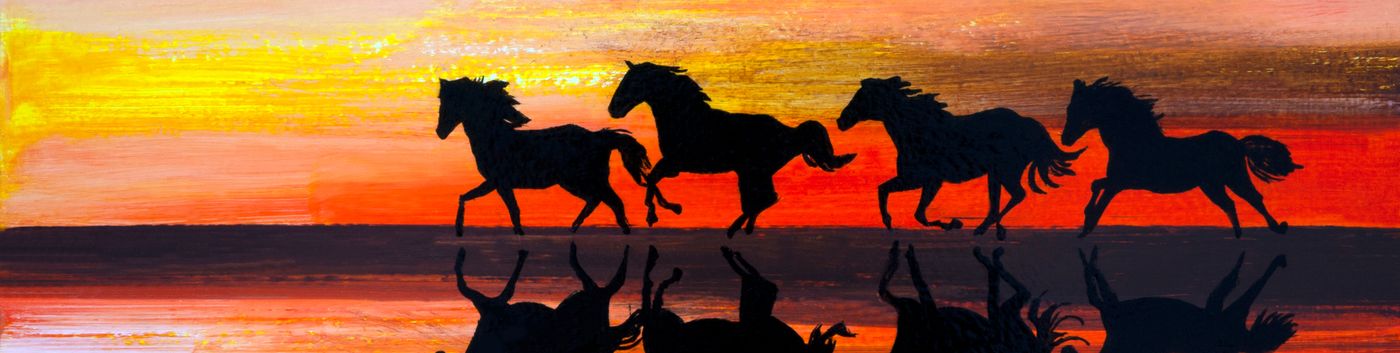 image de couverture