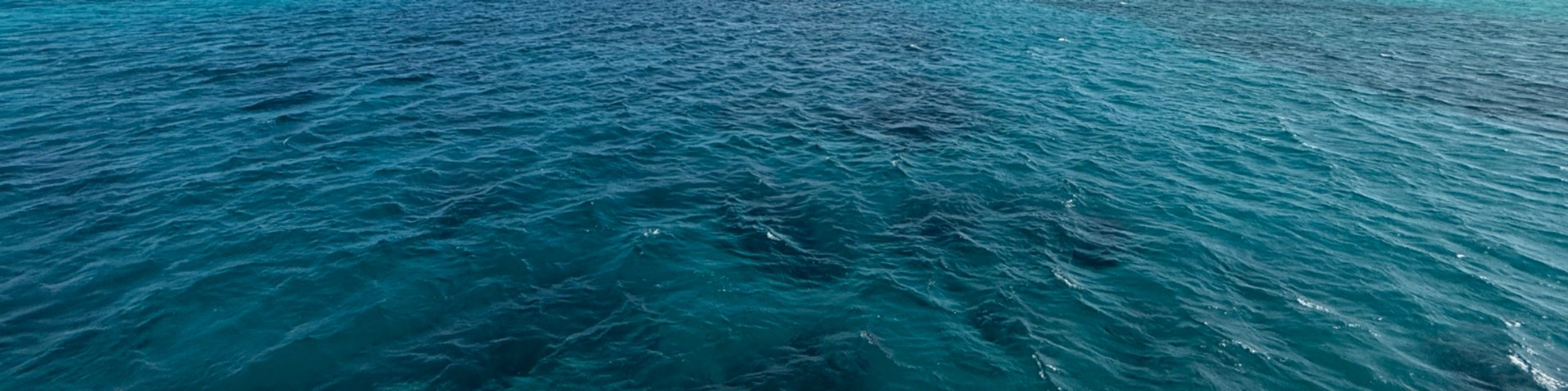 image de couverture