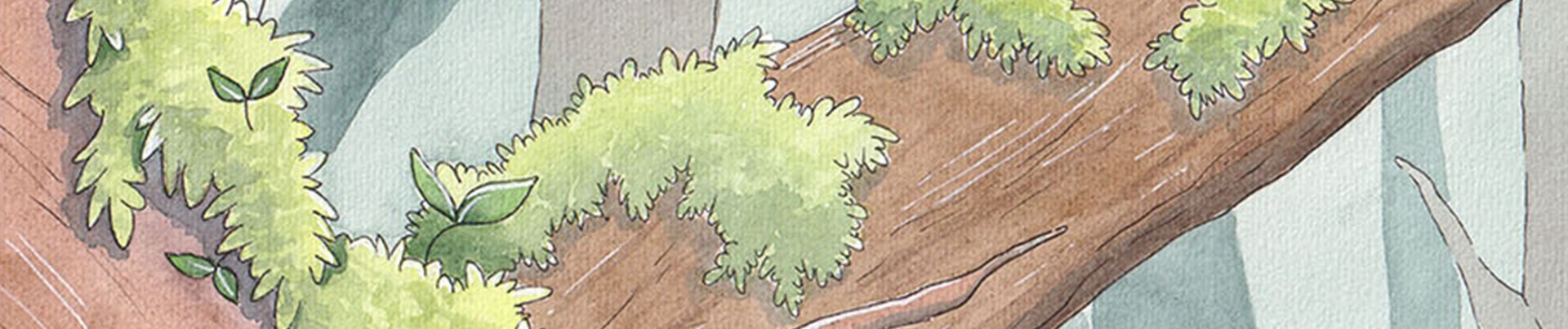 Titelbild