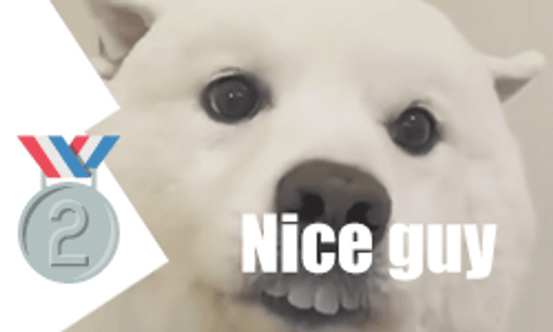 🥈Nice guys 🙂