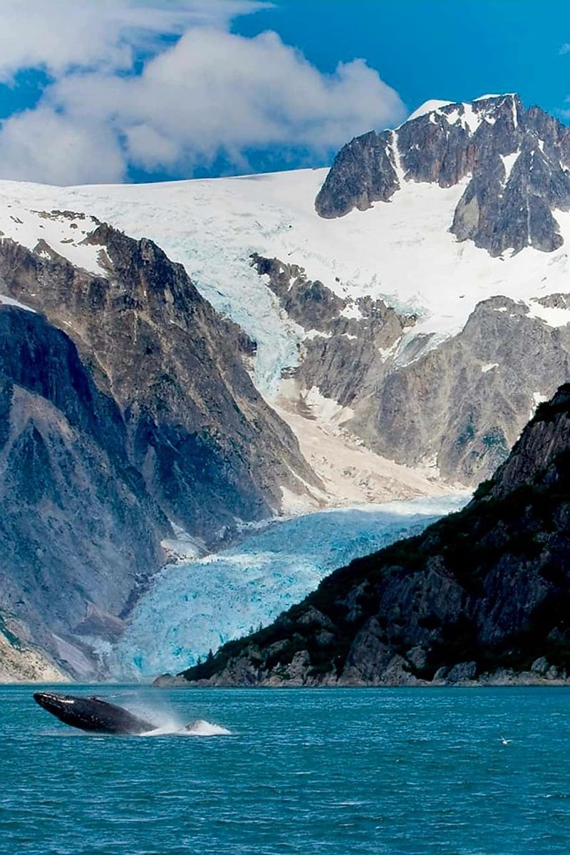 All the Way to Alaska